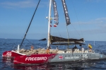 Witness Mesmerizing Dolphin Activities on the Ocean In Tener