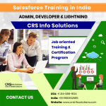 Salesforce Training in India