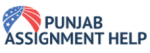 Punjab Assignment Help