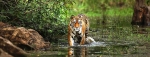 National Park Tours