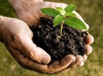 Bio Fertilizer | SSCL