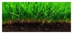 Buy The Best Quality Bio Fertilizer From Suraj Shree Chemica