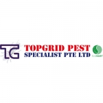 Pest Control Services in Singapore