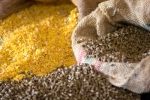 Quality Animal Feed with SSCL
