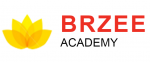 Brzee Academy
