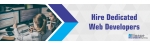 Hire Dedicated Web Developer  Expert Web Programmers at $12