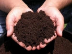 Suraj Shree Chemicals Ltd- The Best place to Buy Organic