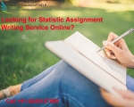 Statistic Assignment Writing Online - Find Assignment Help