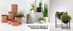 Top Indoor Plants Suppliers in UAE | Vertical Garden Supplier