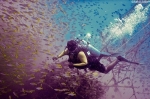 Scuba Diving in Goa | Cheapest Rate | packages | Offer |