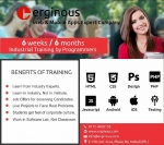 Six months industrial training in ios