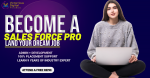 Best Salesforce Classes in Pune | Training Institute in Pune
