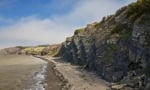 Joggins Fossil Cliffs Has Played a Vital Role in Geology