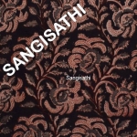 Kalamkari Fabric- Ikat Fabric