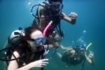 Scuba Diving in Goa - PADI Courses & Diving Packages in Goa