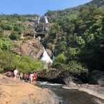 Dudhsagar Waterfall Tour Packages - Goa Jeep Safari Booking