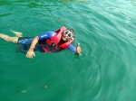 Grand Island Boat Trip with Snorkeling, Dolphin Sightseeing