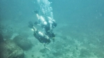 Discover Scuba Diving in Goa