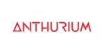 Anthurium Noida