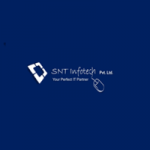 Website Development Company in Noida - SNT infotech