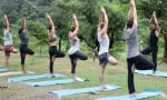 100 Hour Yoga TTC in Rishikesh India
