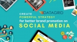 Social Media Marketing services @ Datagrid Solutions