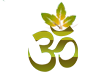 Patanjali Ayurvedic Products USA