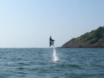 Dolphin Tour in Goa - Best Boat Safari Booking