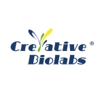 what is antibody screening