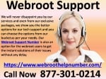 Webroot Support Number To Protect The Systems From Viruses