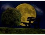 Good Night Motivational Quotes