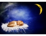 Good Night Quotes for Him
