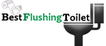 Best Flushing Toilet Reviews (Plumber Recommended Toilet)