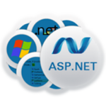 ASP.NET Web Development Company