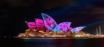 Vivid Dinner Cruises 2019
