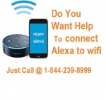 https//alexa.amazon.com