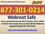 Call For Webroot Safe to shield your systems
