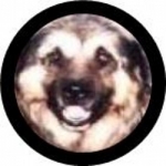 Sarplaninac FCI 4302 - Kennel by Nebojsa