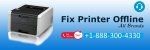 Printer offline support