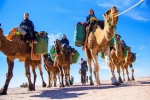 Morocco Private Excursions