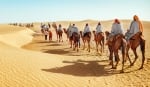 Inland sea tours Best Desert safari