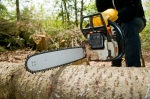 Ali's Tree Services