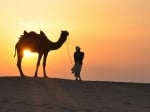 Desert Safari Doha