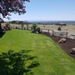 Gold mountain Landscaping and irrigation