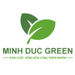 ong hut giay
