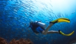 Best Places For Scuba Diving in India