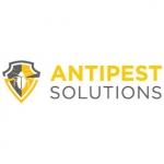 Commercial pest control services in Singapore by Antipest