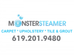 Monster Steamer Carpet Cleaning