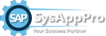 SAP BO Training institutes in Gurgaon
