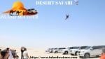 Few day in west coat tour and doha city tour with desert saf